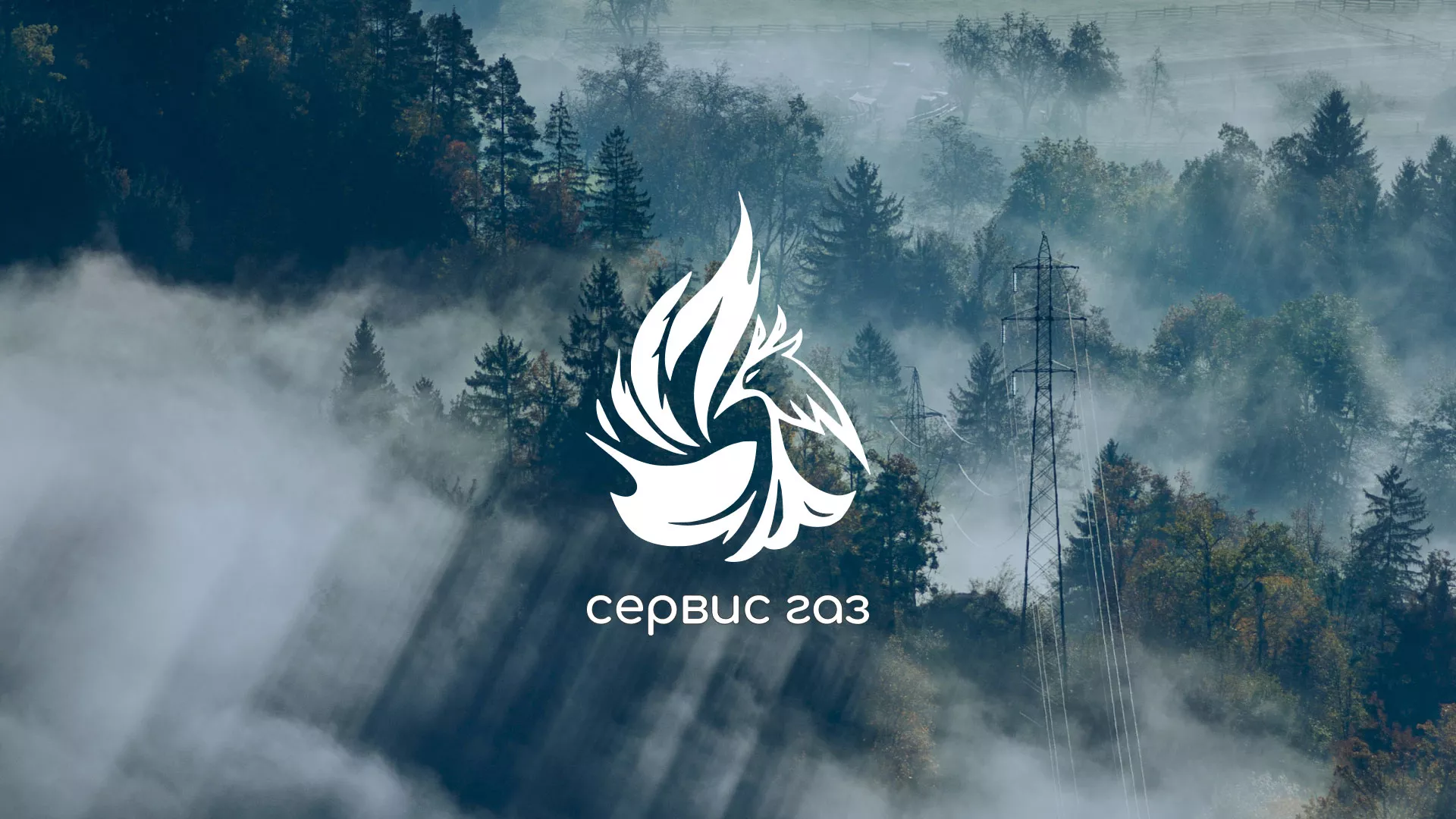 Создание сайта компании «Сервис газ» в Шахунье