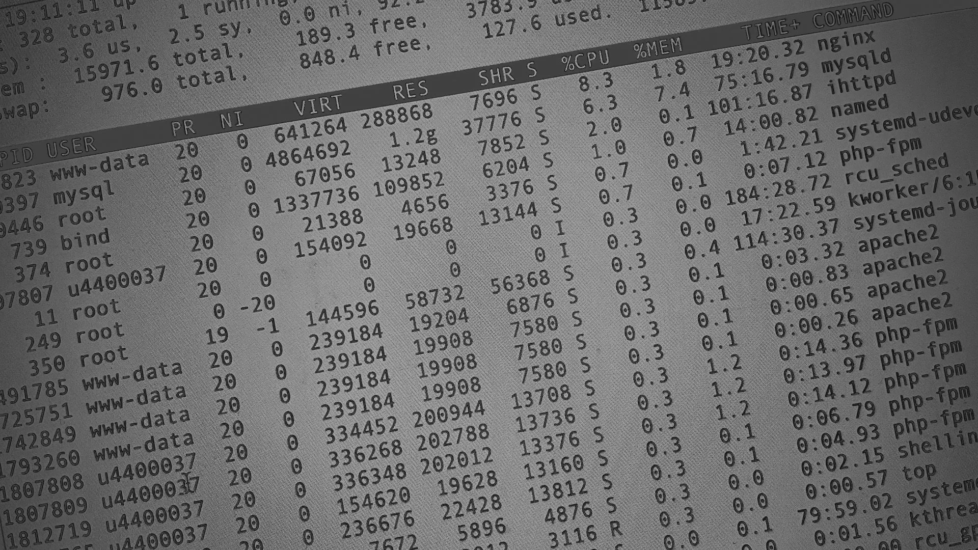 Настройка сервера в Шахунье