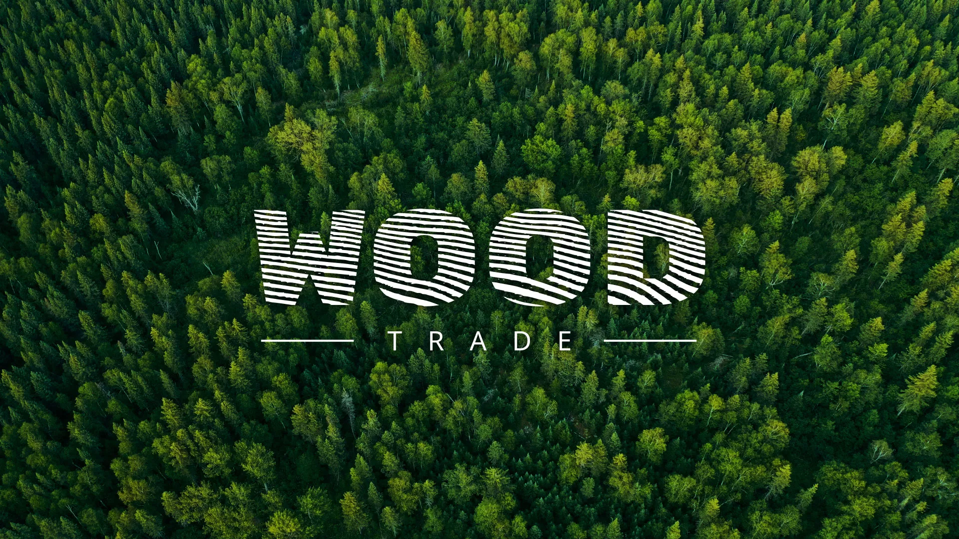 Разработка интернет-магазина компании «Wood Trade» в Шахунье