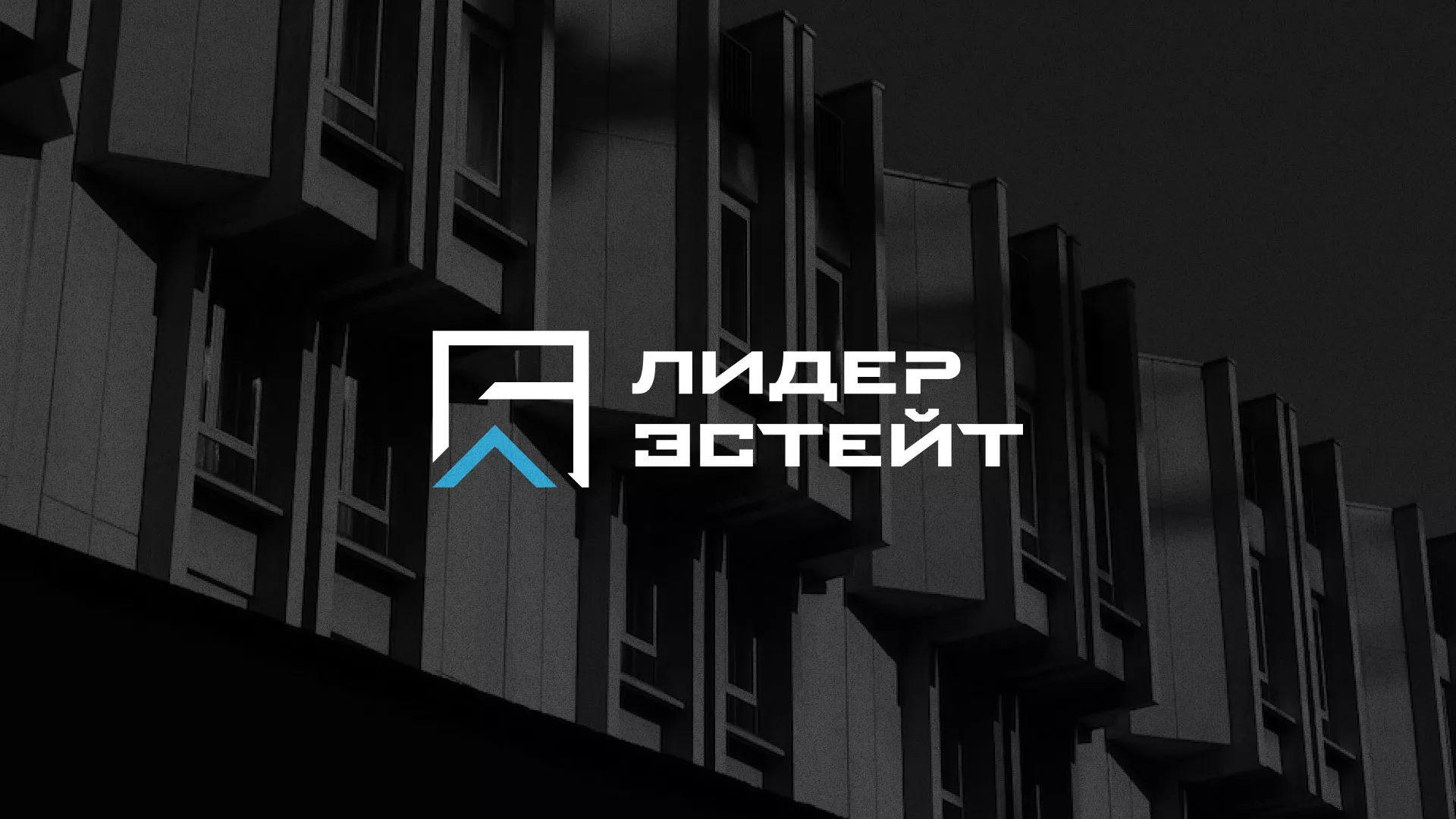 Разработка логотипа агентства недвижимости «Лидер Эстейт» в Шахунье